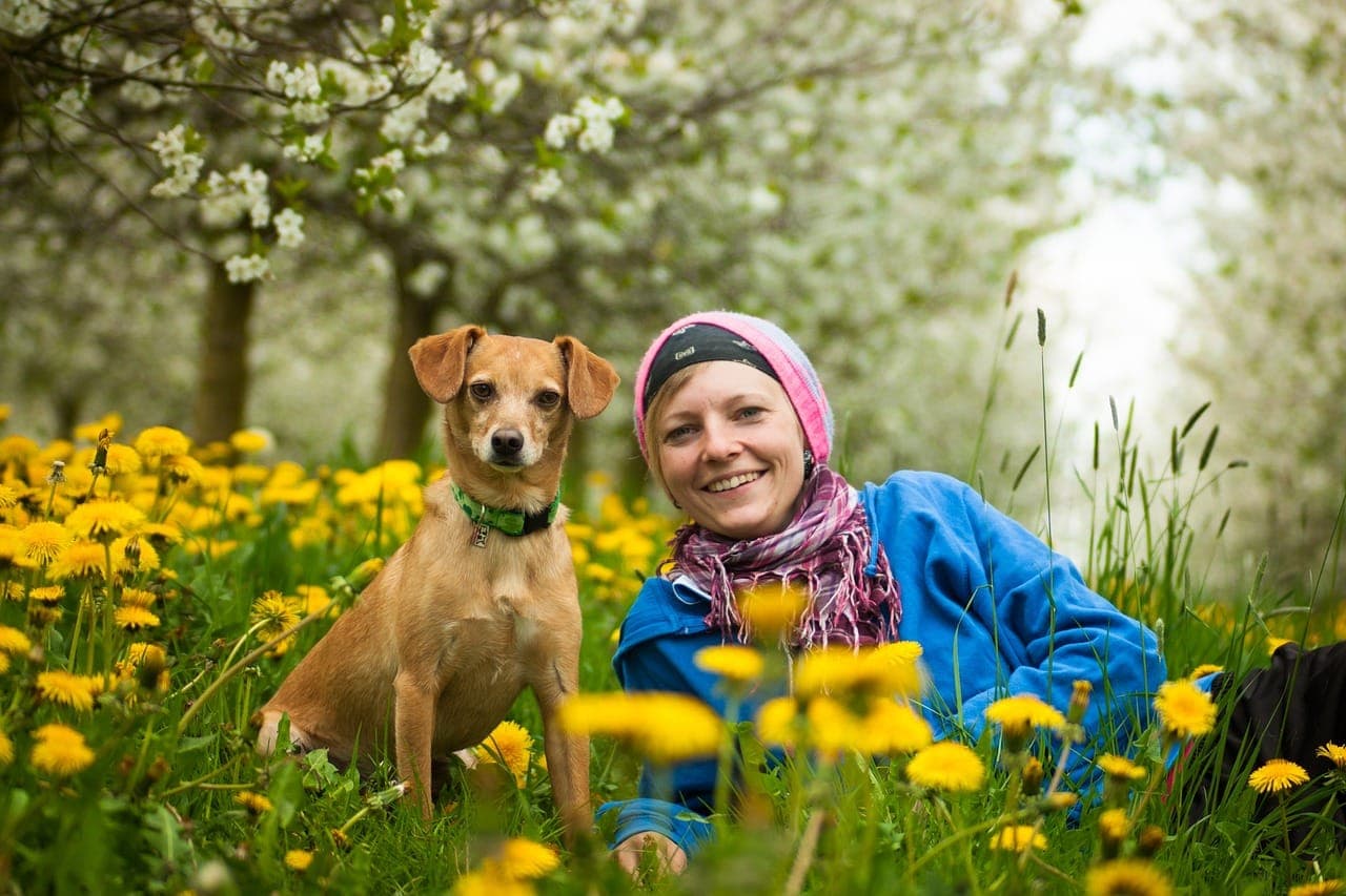 Traveling With Your Dog: Safety Tips and Essentials